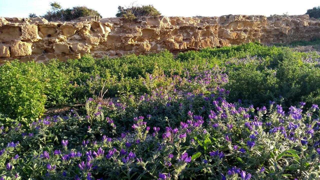 Bed & Breakfast Calatabarca Tabarca