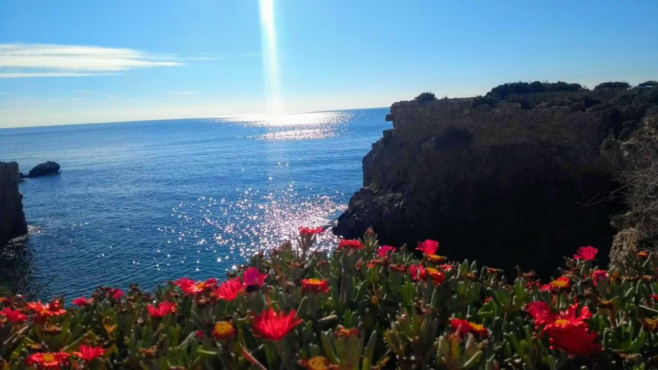 Calatabarca Tabarca